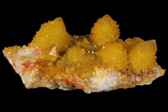 Sunshine Cactus Quartz Crystal - South Africa #98388